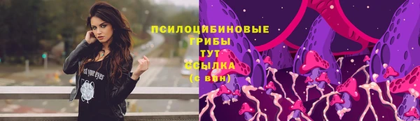 соль ск Инта