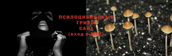 не бодяженный Иннополис