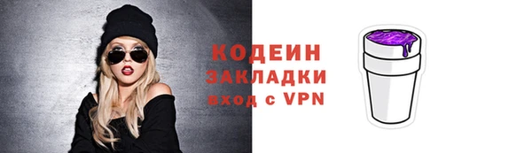 не бодяженный Иннополис