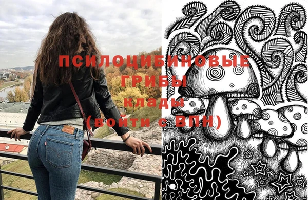 не бодяженный Иннополис