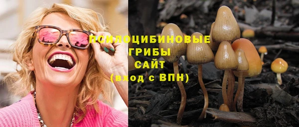мяу мяу кристалл Инсар
