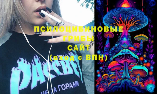 не бодяженный Иннополис
